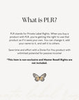 PLR ChatGPT & Canva Guide to Passive Income | Canva eBook Template - Trendy Fox Studio