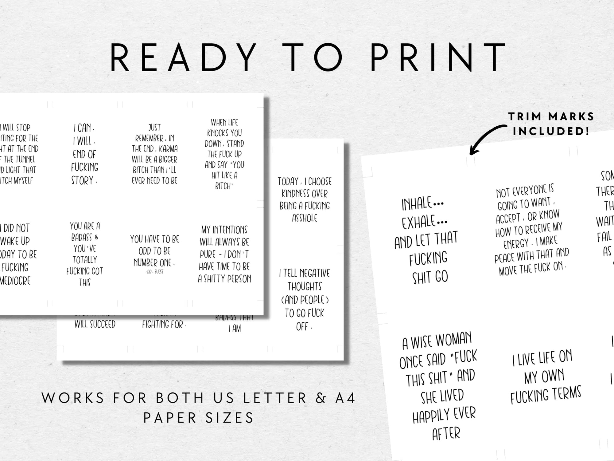 Sweary Affirmation Cards, NSFW Bada$$ Affirmation Printable Card Deck Bundle - Trendy Fox Studio